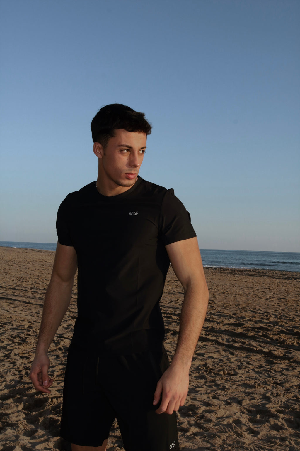 Camiseta microfibra - arté