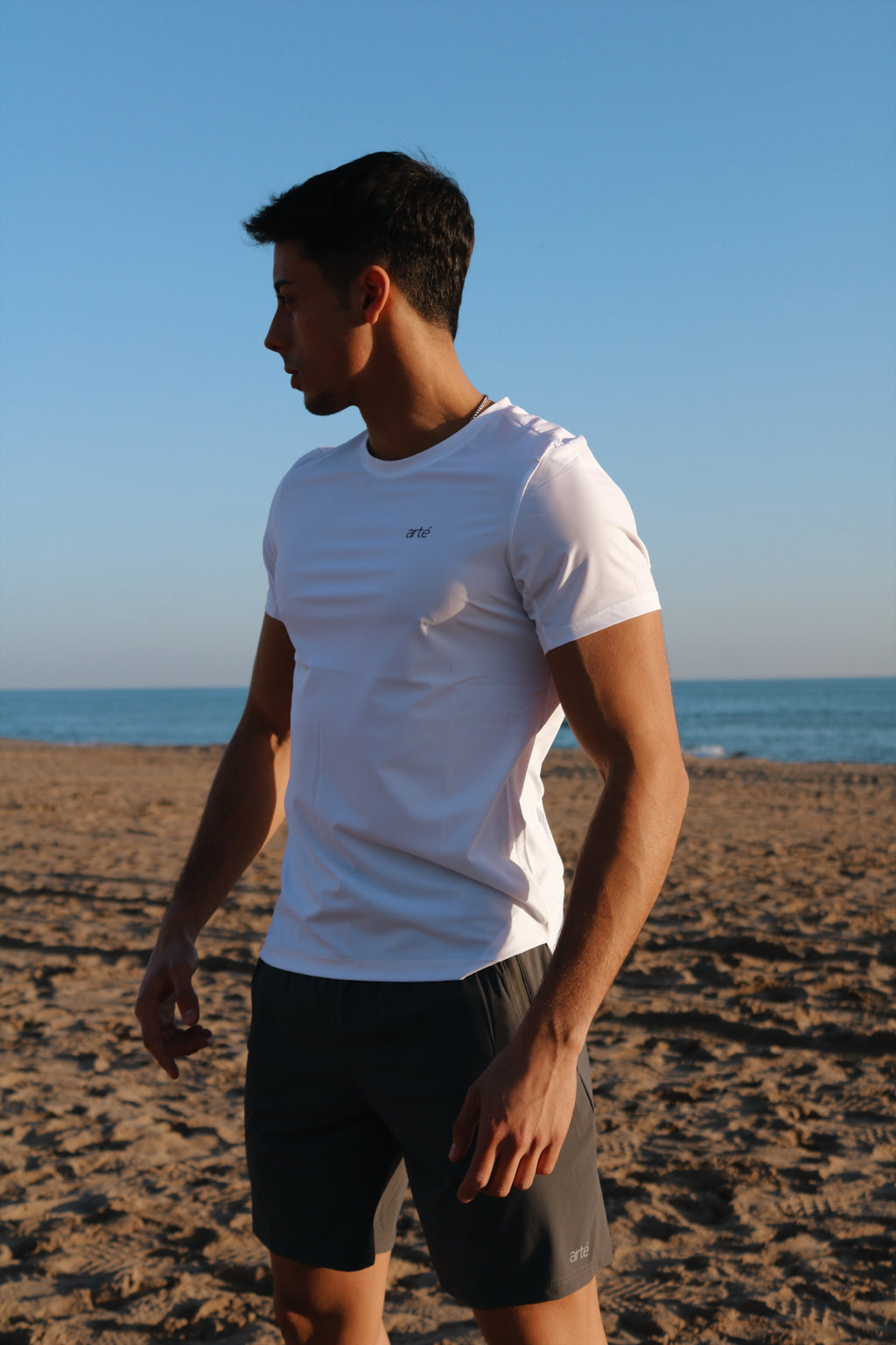 Camiseta microfibra - arté