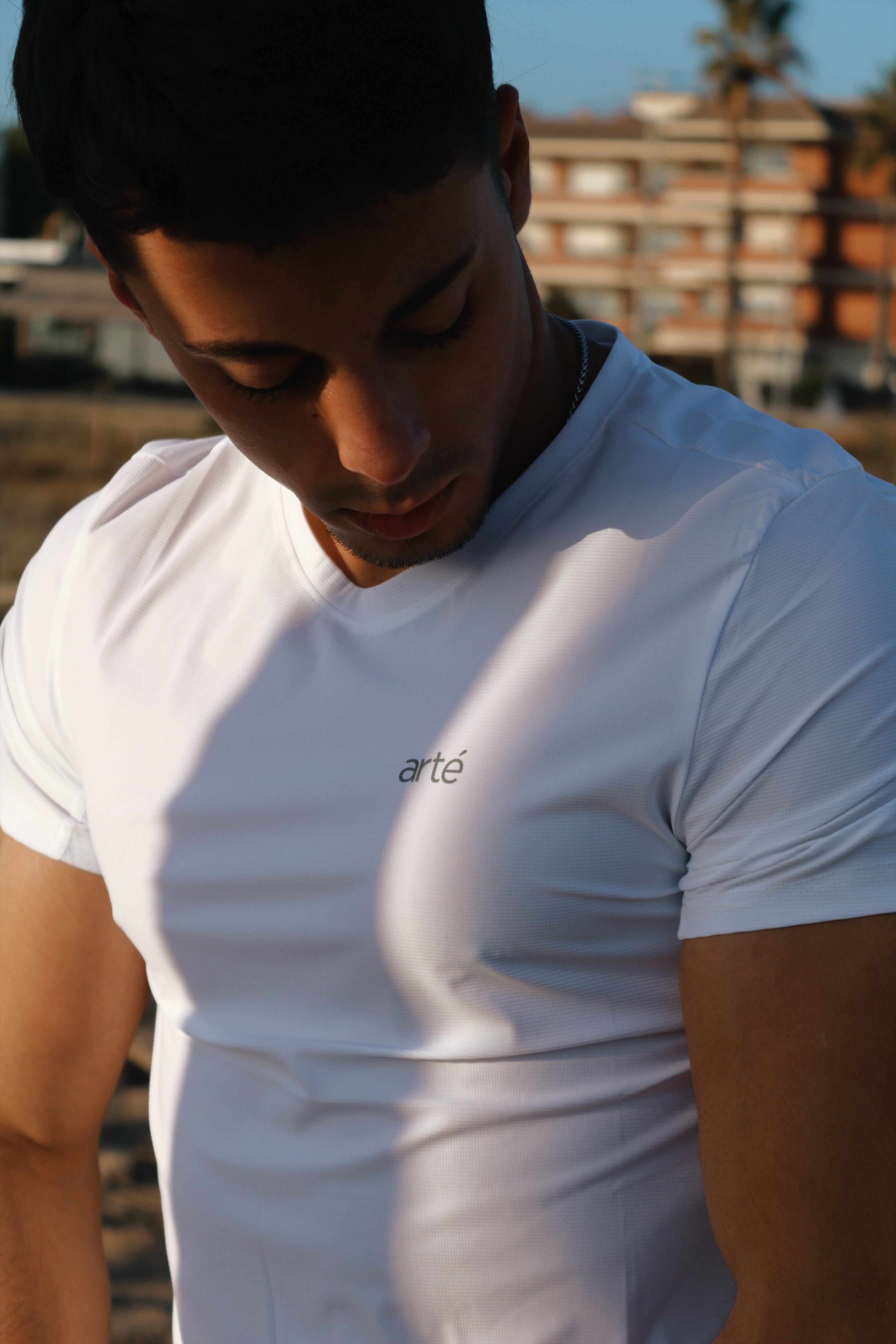 Camiseta microfibra - arté