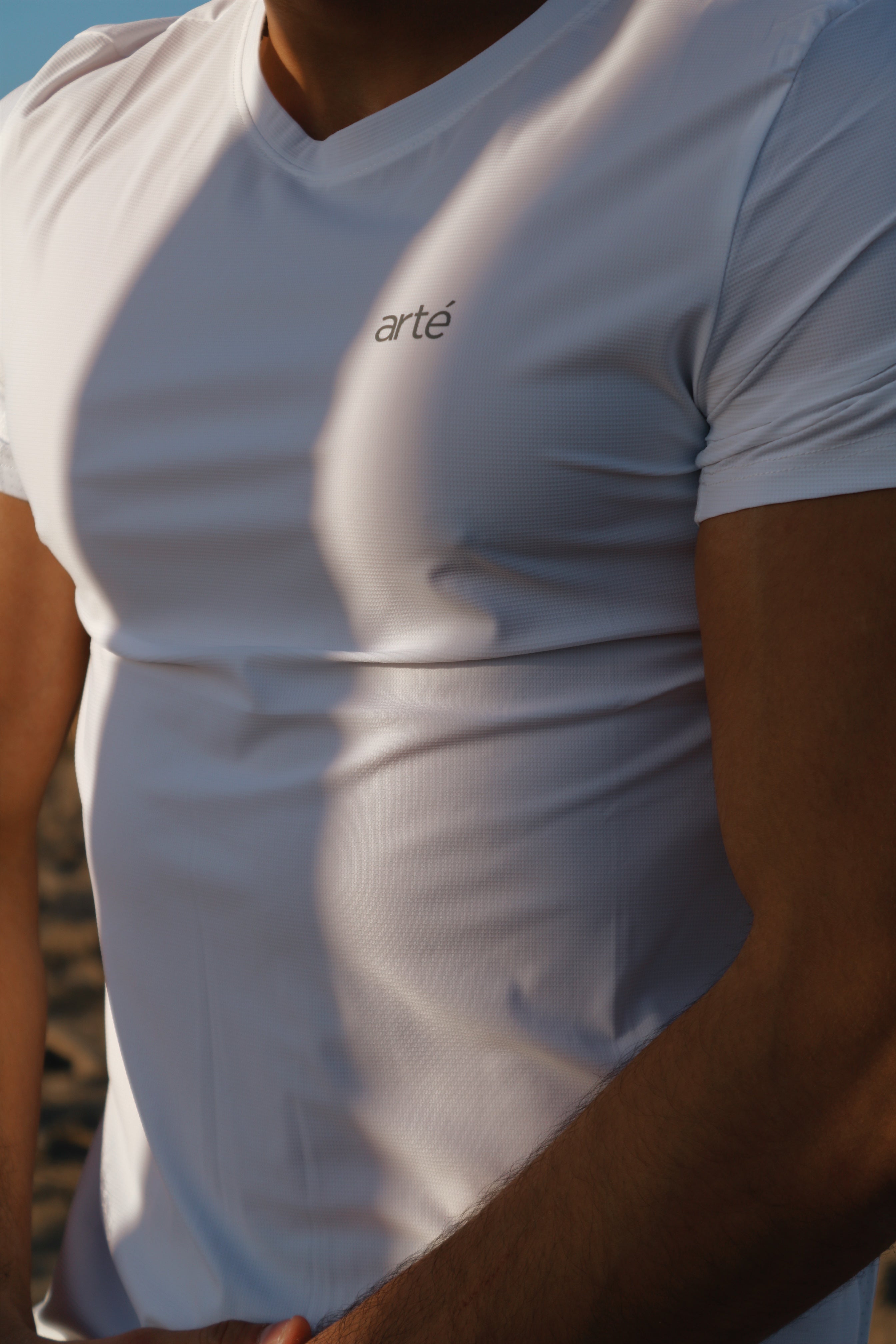 Camiseta microfibra - arté