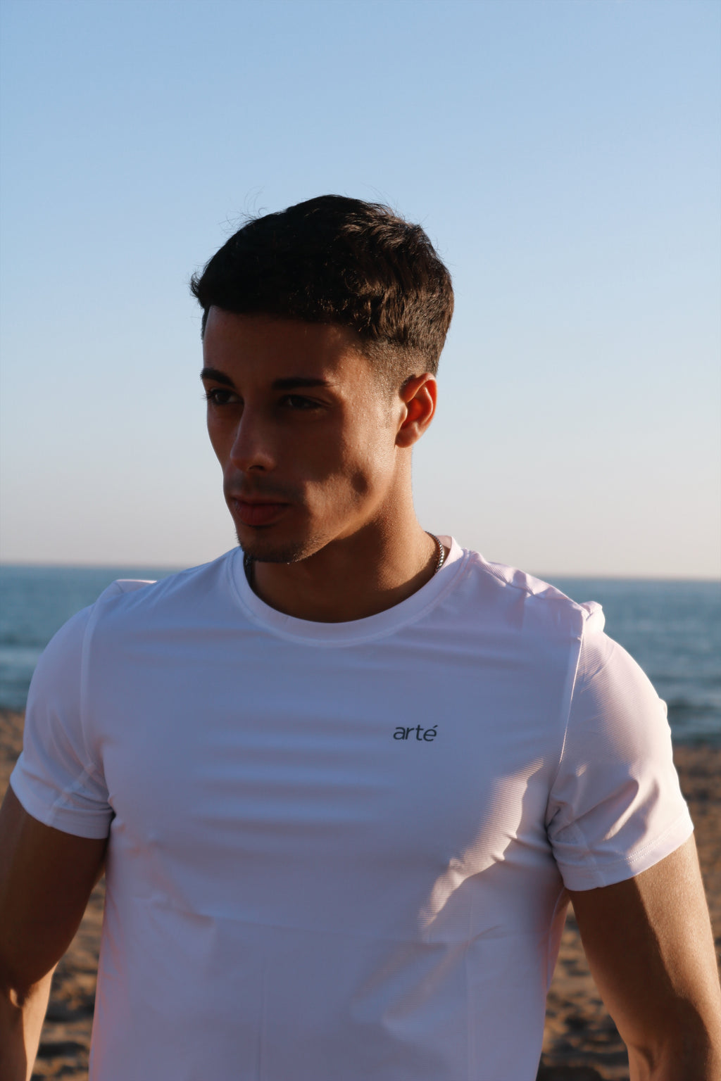 Camiseta microfibra - arté