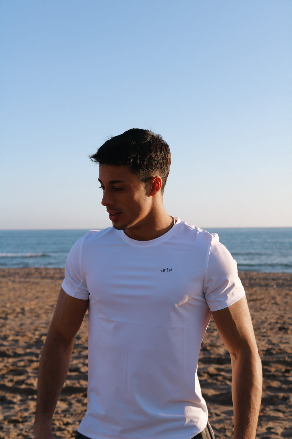 Camiseta microfibra - arté